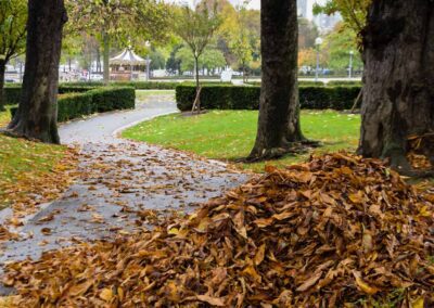 Ramassage des feuilles